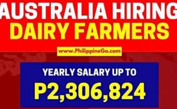 Hiring Dairy Farmer In Australia