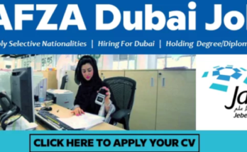 Big Company Jafza Careers Jobs Vacancies