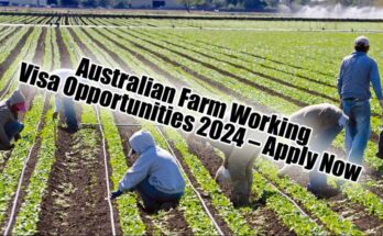 Farm Workers Jobs in Australia 2024