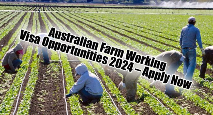 Farm Workers Jobs in Australia 2024
