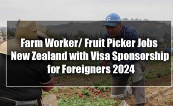 LATEST JOBS IN NEW ZEALAND