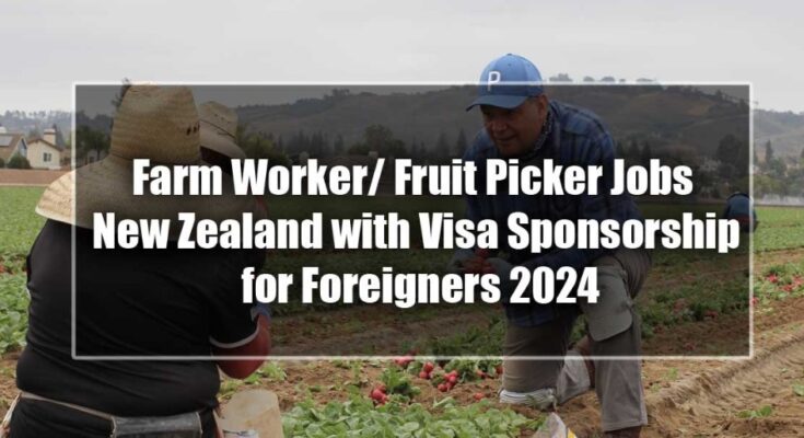 LATEST JOBS IN NEW ZEALAND