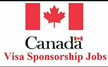 visa sponsorship jobs in canada 2024