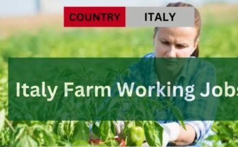 Visa Sponsorship Jobs in Italy - Farm workers - 2024