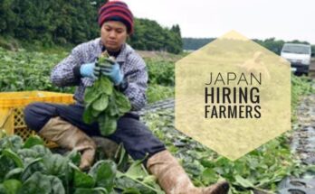 Farm Jobs - Japan Hiring Farmers -Latest 2024