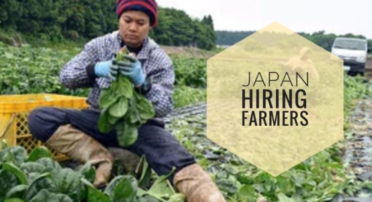 Farm Jobs - Japan Hiring Farmers -Latest 2024