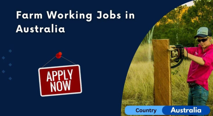 Australia Farms Job Latest 2024