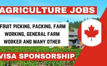 General Farm Workers - Farm Jobs In Canada | Latest 2024