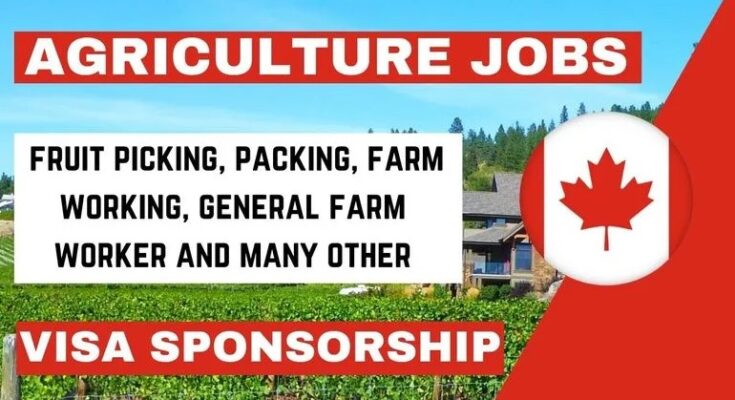 General Farm Workers - Farm Jobs In Canada | Latest 2024